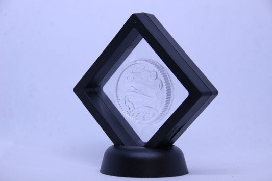 Mighty morphin power rangers Resin cast coin in display case black ranger Ninja ninjetti frog mmpr clear